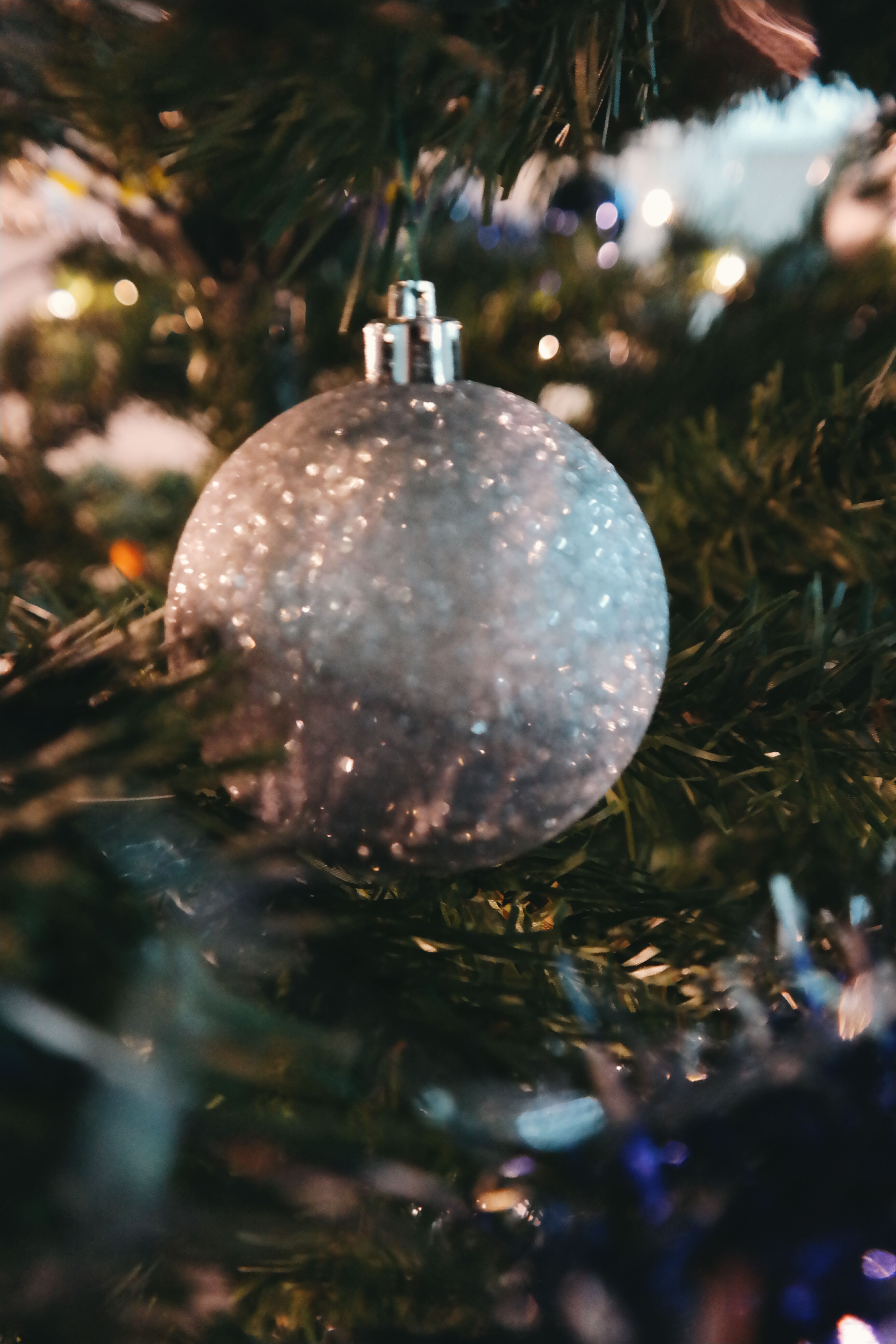 New_webpage_Christmas_image_6 (1).jpg (1)